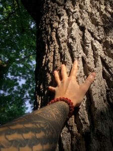 grounding health benefits grounding health benefits